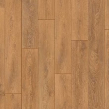 ДУБ КОРИЧНЕВЫЙ